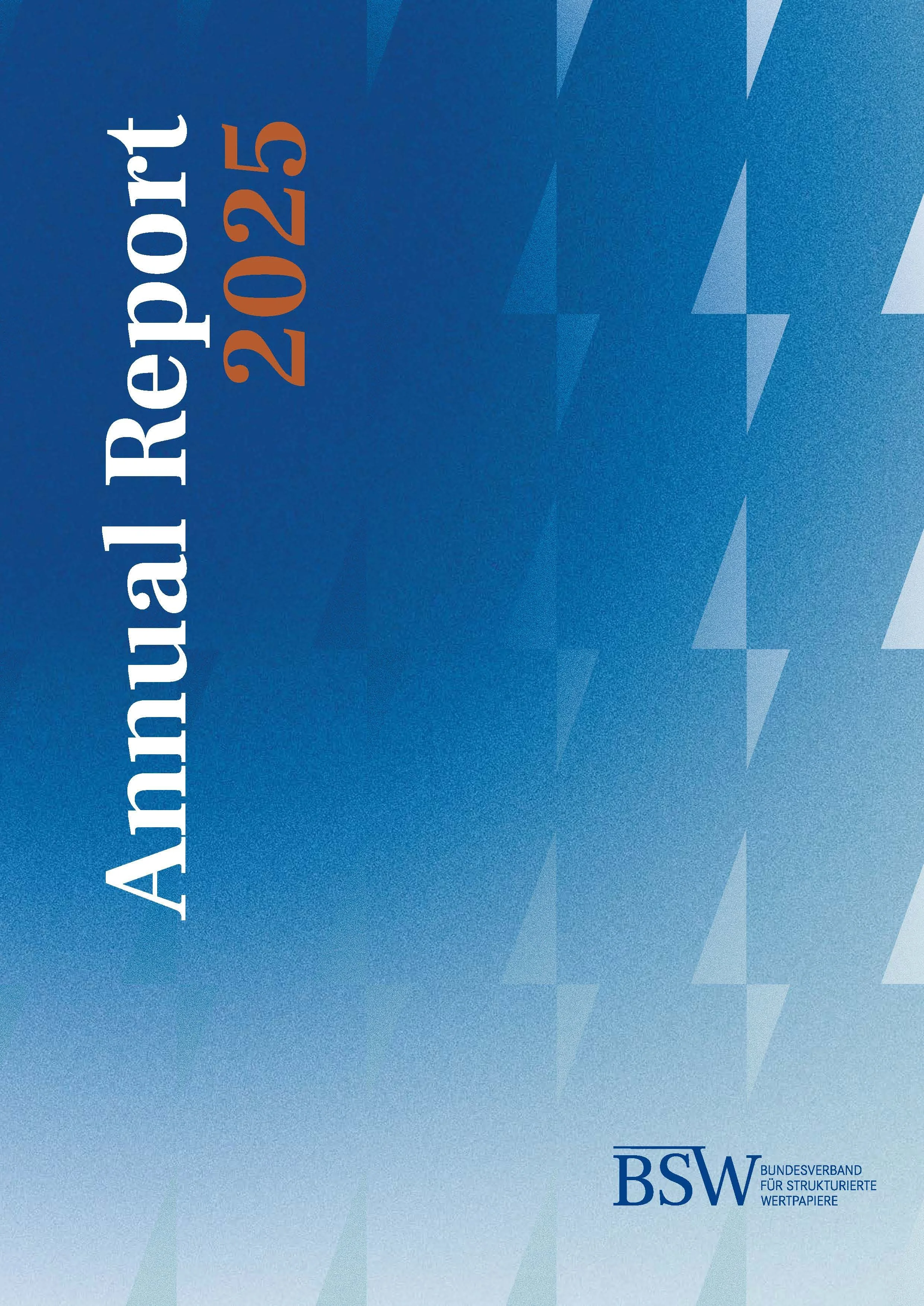 BSW Annual Report 2025