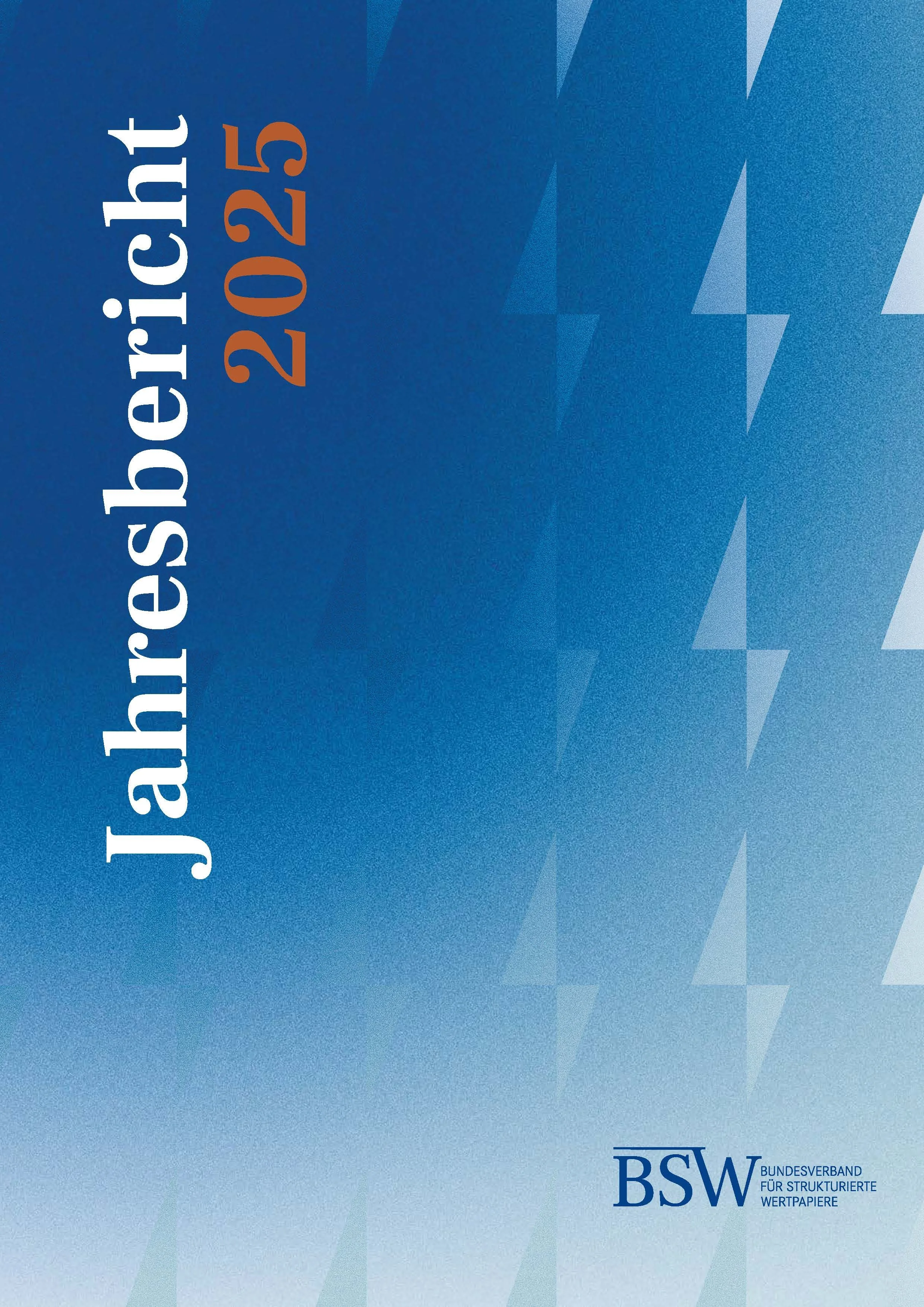 BSW Jahresbericht 2025